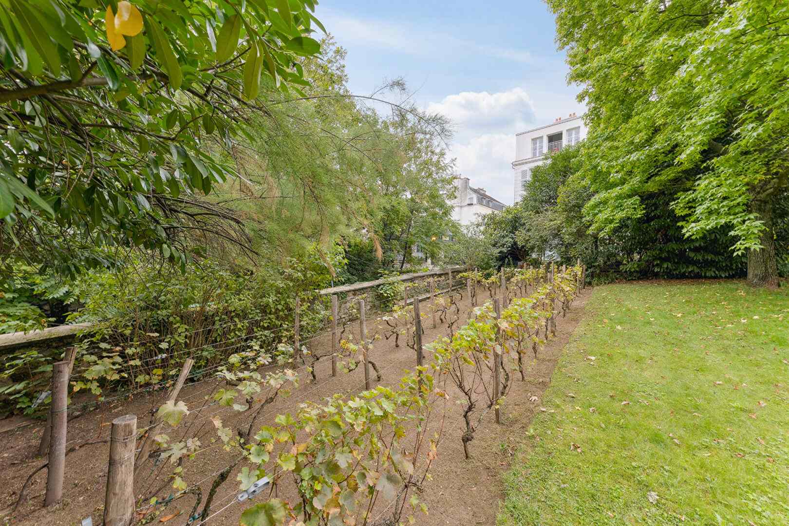 Rez-de-jardin Résidence Folie Sandrin à Montmartre. 13